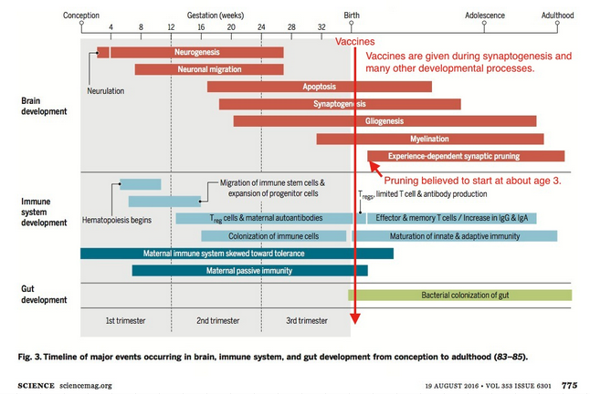 Recommended childhood vaccine schedule